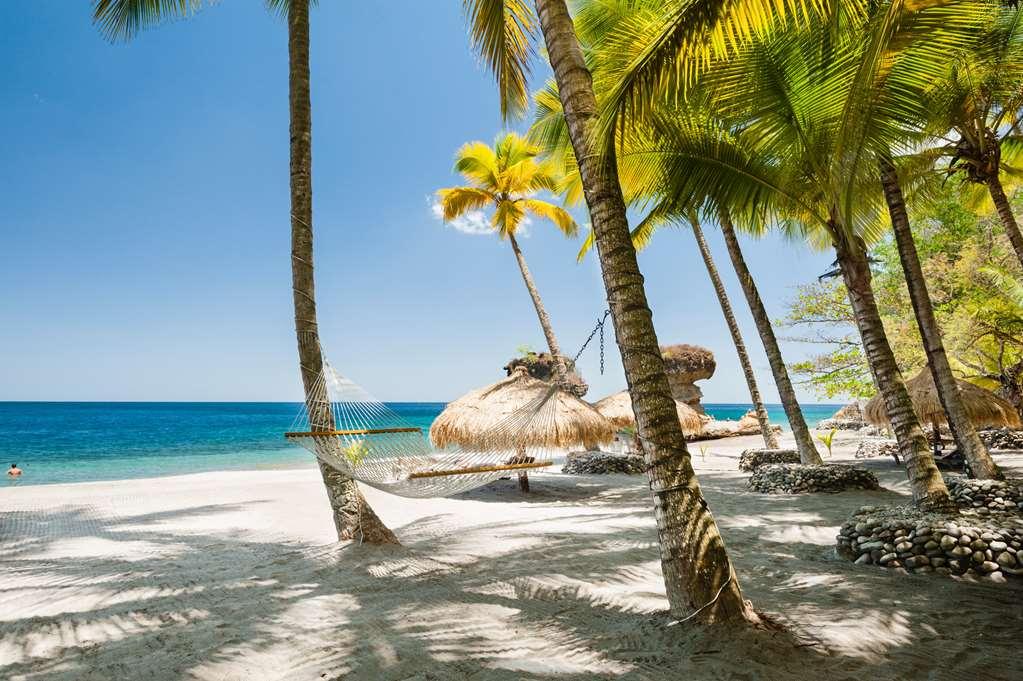 Anse Chastanet Resort Soufrière Natura zdjęcie